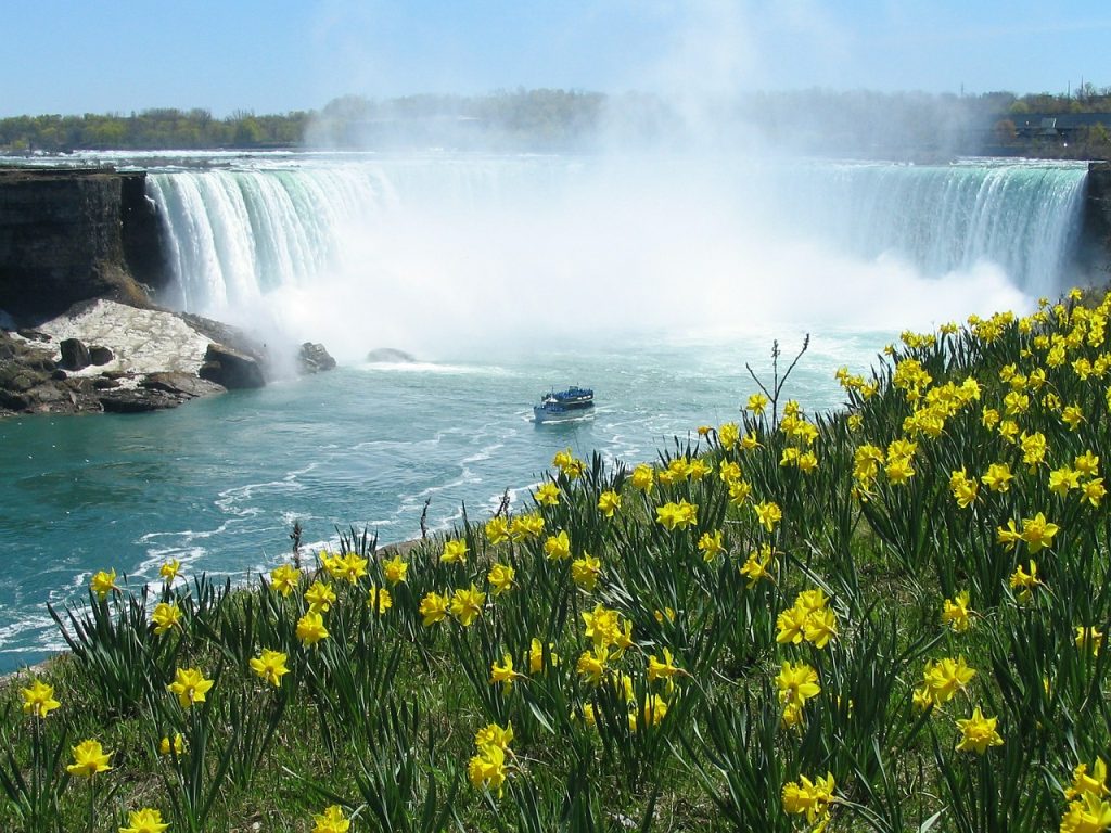 niagara falls, waterfall, horseshoe